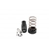 Kawasaki Pro Spring Kit